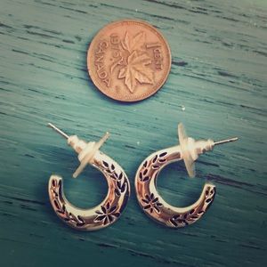 Little hoop earrings for pierced ears